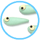 メダカのがっこう