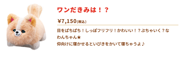 ワンだきみは！？