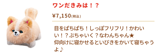 ワンだきみは！？