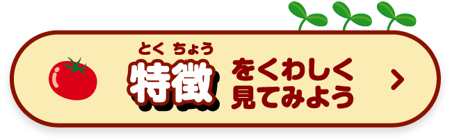 特徴をくわしく見てみよう