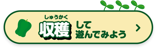 収穫して遊んでみよう