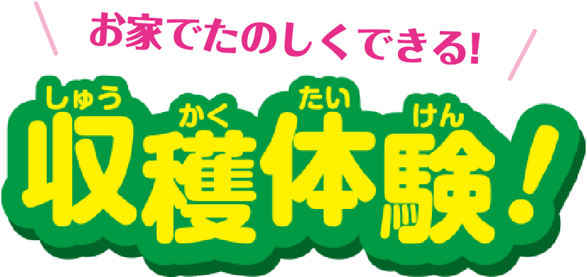 お家で楽しくできる！収穫体験！