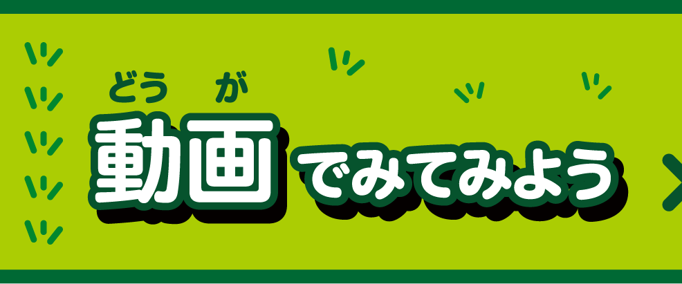 動画でみてみよう