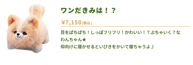 ワンだきみは！？