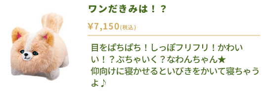 ワンだきみは！？